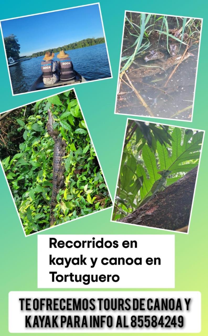 Apartamentos Caiman 3 Tortuguero Dış mekan fotoğraf